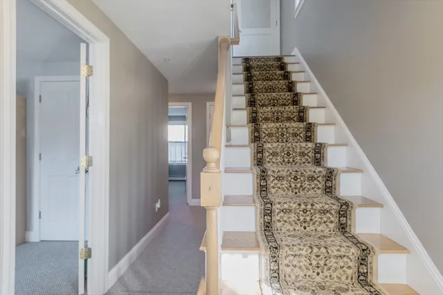 a view of a hallway with windows and flower plants