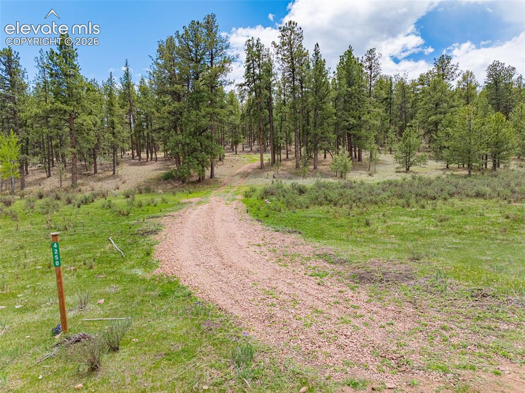 4250 Doe Valley Road Guffey, CO 80820 - Photo 3 of 35