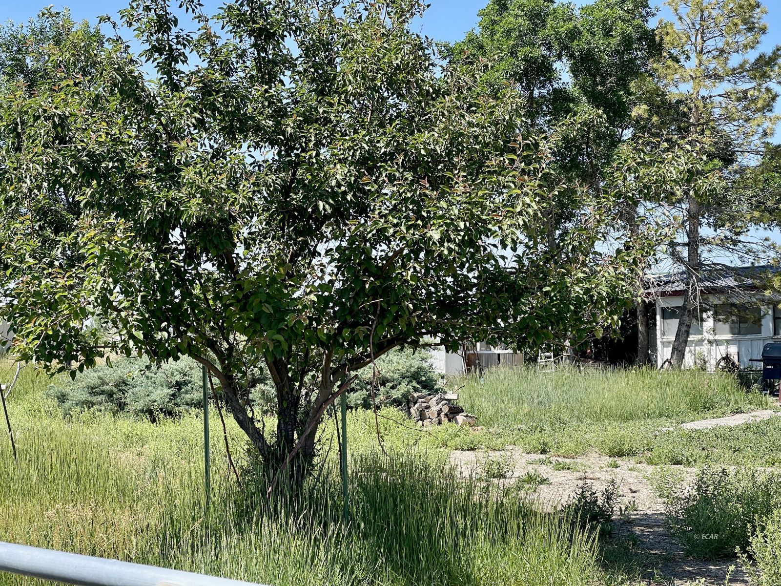 2623 North Canyon Road Lamoille, NV 89828 - Photo 16 of 20
