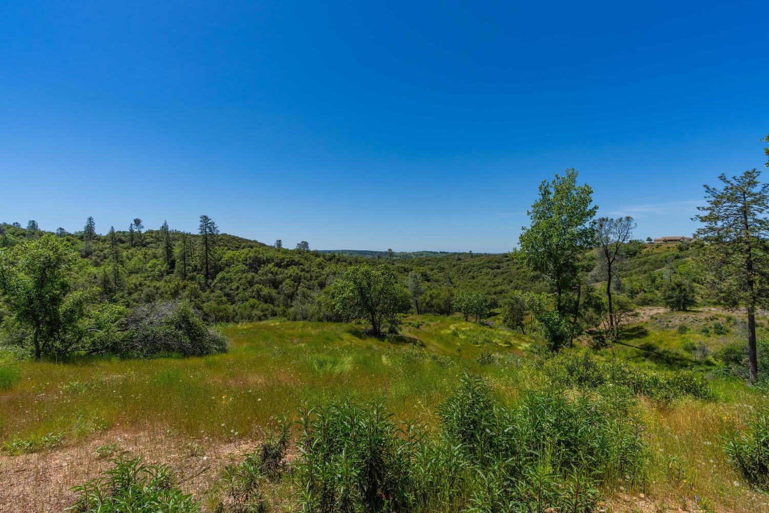 12377 Twin Pines Road Sutter Creek, CA 95685 - Photo 24 of 57 Gallery Image 24
