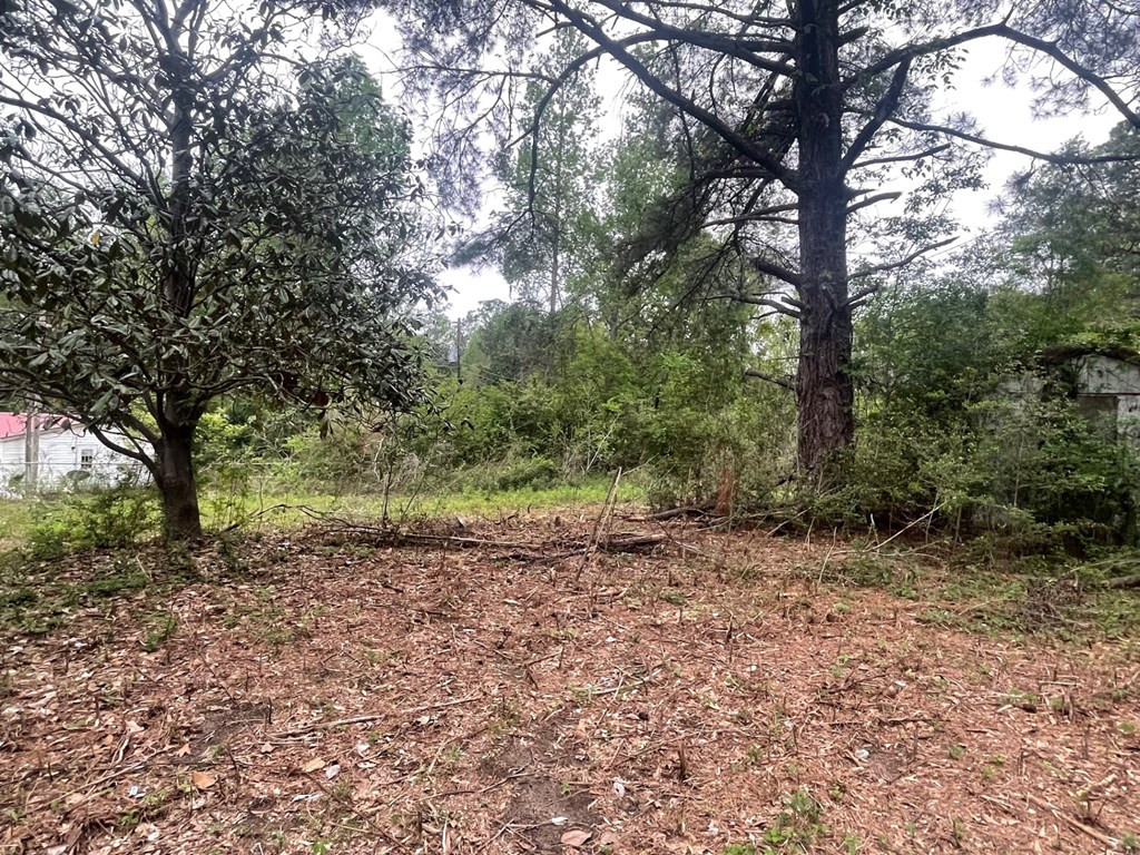 1019 Jackson Road McComb, MS 39648 - Photo 3 of 7 Photo 3