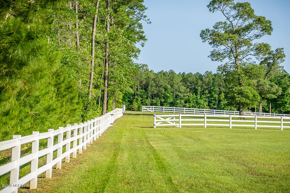 1040 West Firetower Road Swansboro, NC 28584 - Photo 12 of 43 Styron Photo-4483
