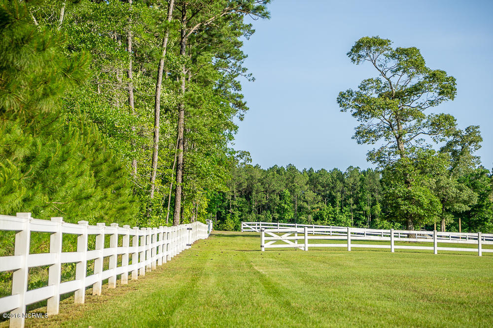 1040 West Firetower Road Swansboro, NC 28584 - Photo 14 of 43 Styron Photo-4484