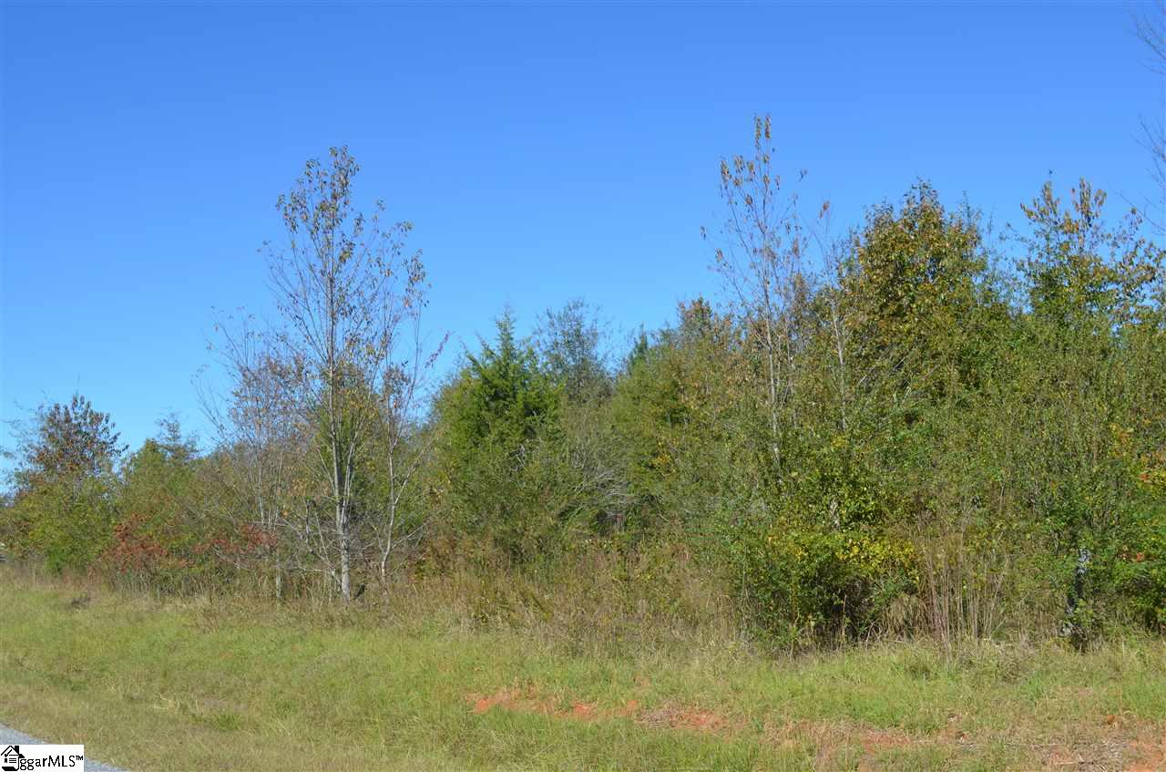 486 Flat Ruff Church Road Gray Court, SC 29645 - Photo 1 of 8