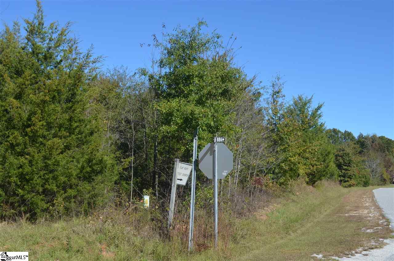 486 Flat Ruff Church Road Gray Court, SC 29645 - Photo 2 of 8