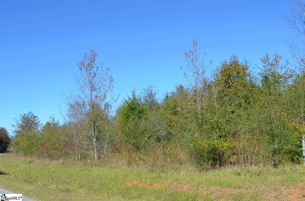 486 Flat Ruff Church Road Gray Court, SC 29645 - Photo 3 of 8
