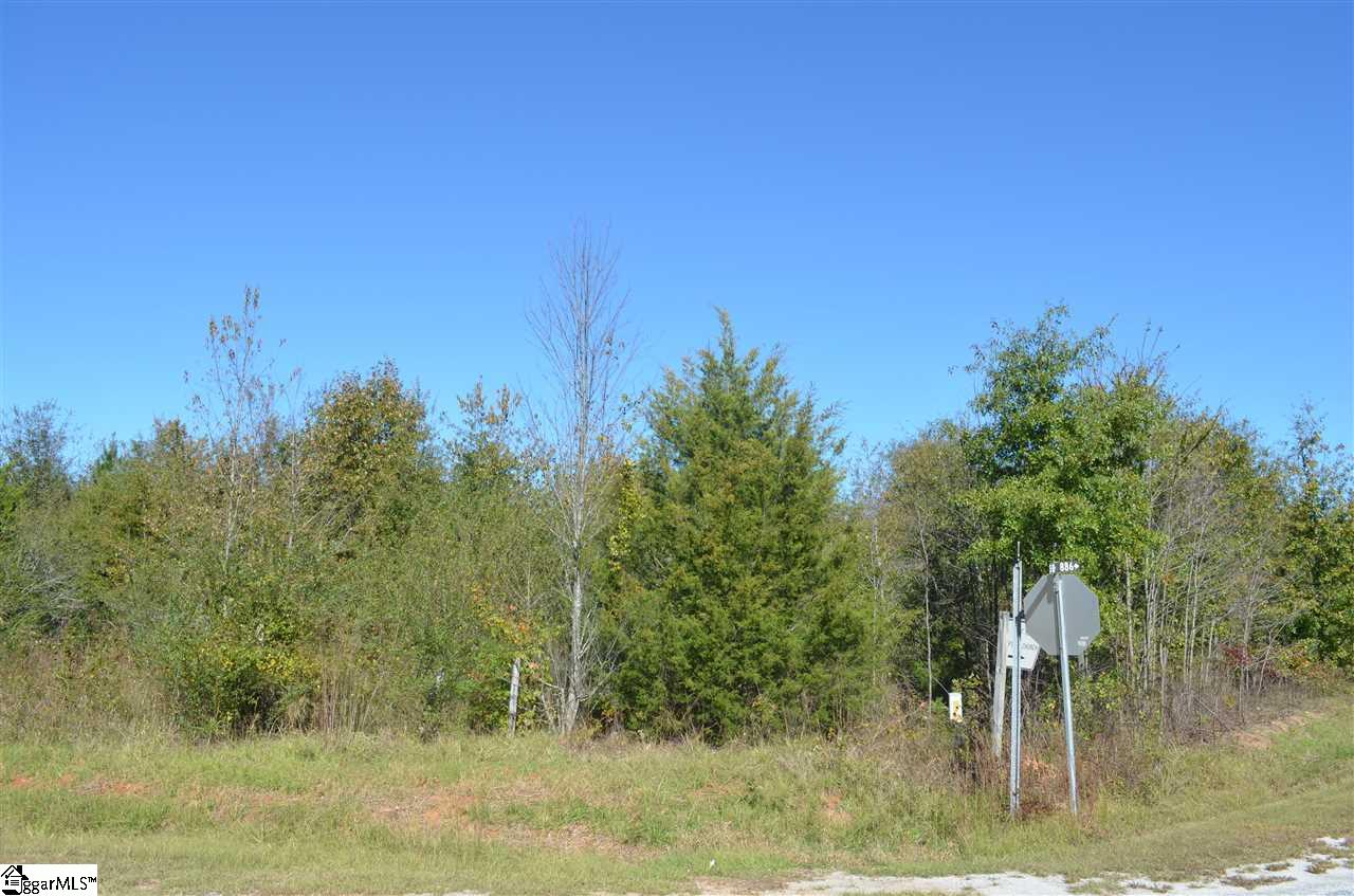 486 Flat Ruff Church Road Gray Court, SC 29645 - Photo 4 of 8