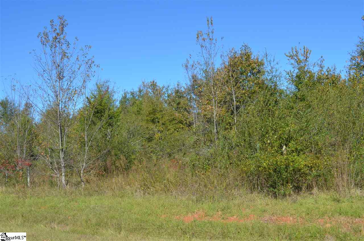 486 Flat Ruff Church Road Gray Court, SC 29645 - Photo 5 of 8