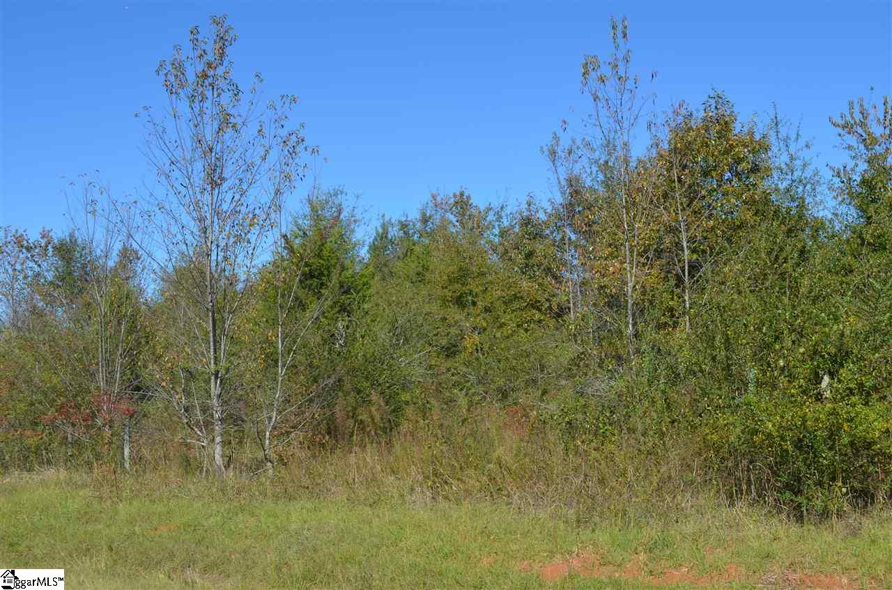 486 Flat Ruff Church Road Gray Court, SC 29645 - Photo 6 of 8