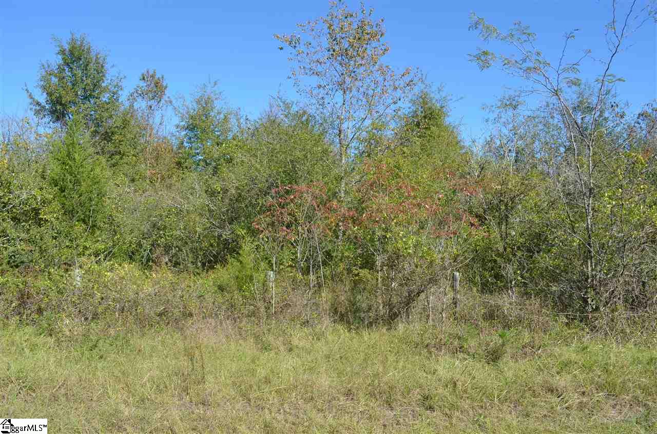 486 Flat Ruff Church Road Gray Court, SC 29645 - Photo 7 of 8