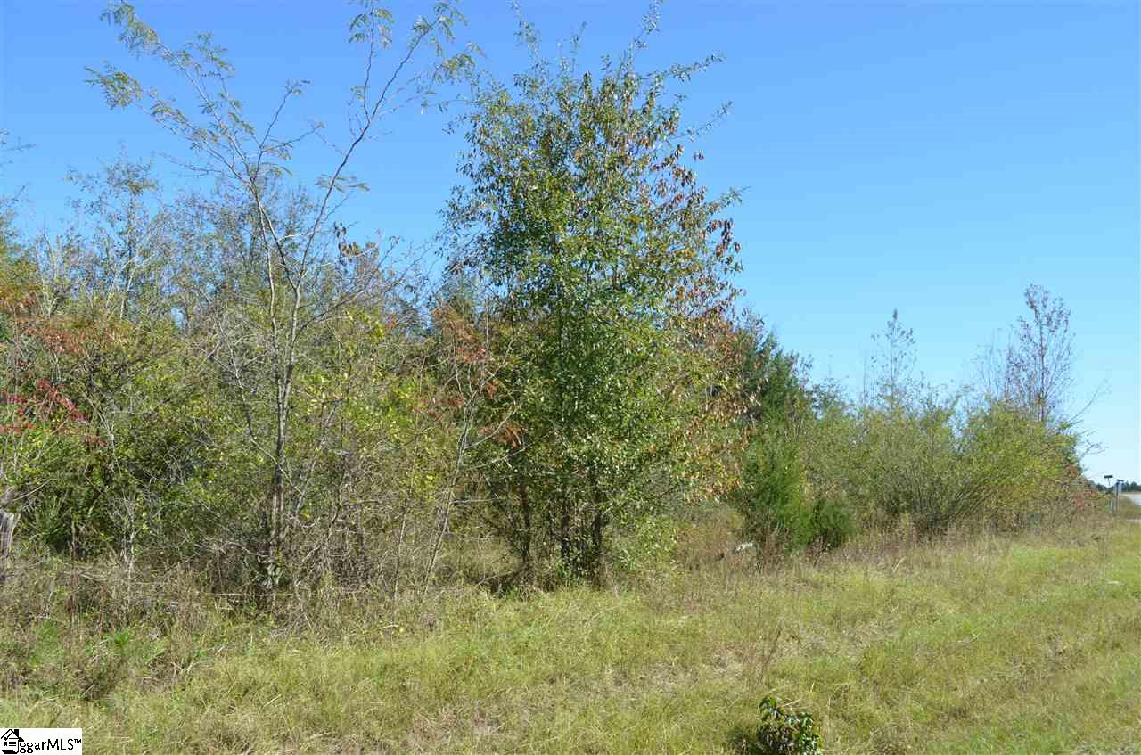 486 Flat Ruff Church Road Gray Court, SC 29645 - Photo 8 of 8