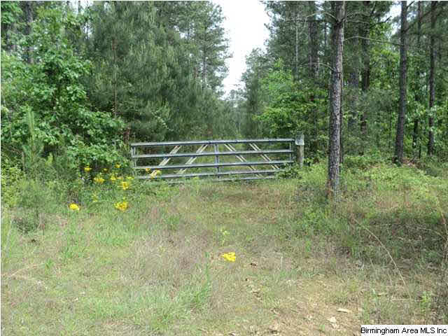 485 County Road, Unit 110 Clanton, AL 35046 - Photo 2 of 22