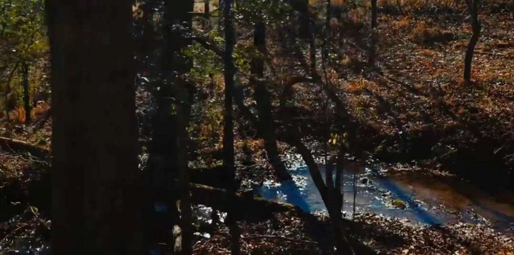 159 Prospect Road Cleveland, GA 30528 - Photo 45 of 48