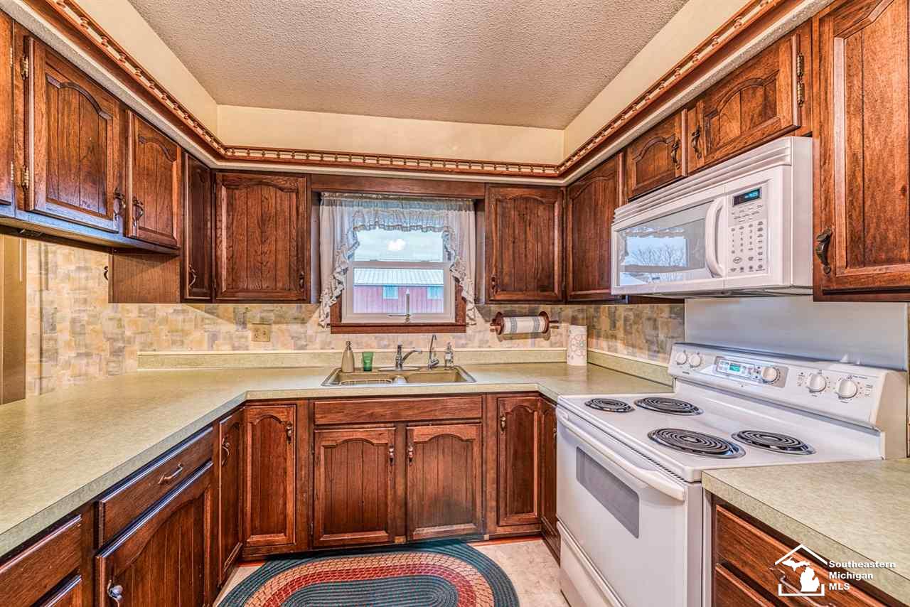 13360 West Albain Road Petersburg, MI 49270 - Photo 8 of 21 31366746-7.JPG