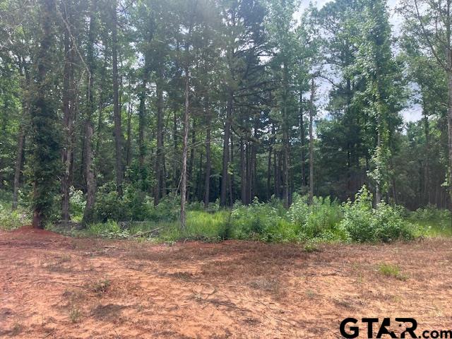 Tbd High Pnes Drive Tyler, TX 75708 - Photo 2 of 11 a backyard of a house with lots of green space