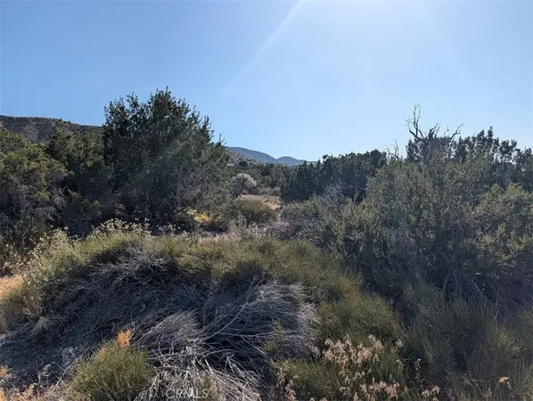 $95,000 | 8 Mountain Road, Pinon Hills, CA 92372