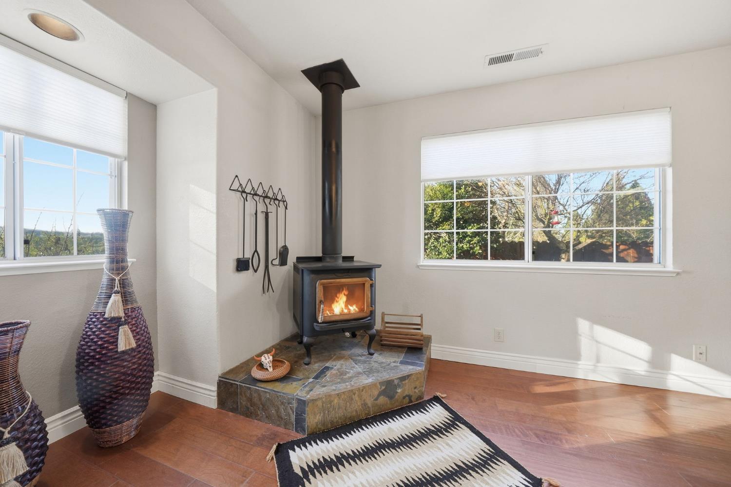 101 Terrace View Circle Jackson, CA 95642 - Photo 3 of 28 a living room with furniture and a window