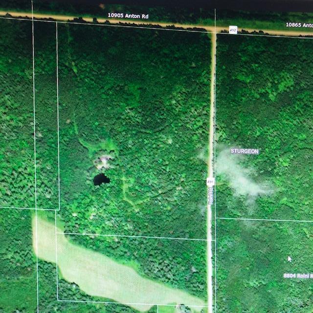 0 Roini Road Angora, MN 55703 - Photo 1 of 1