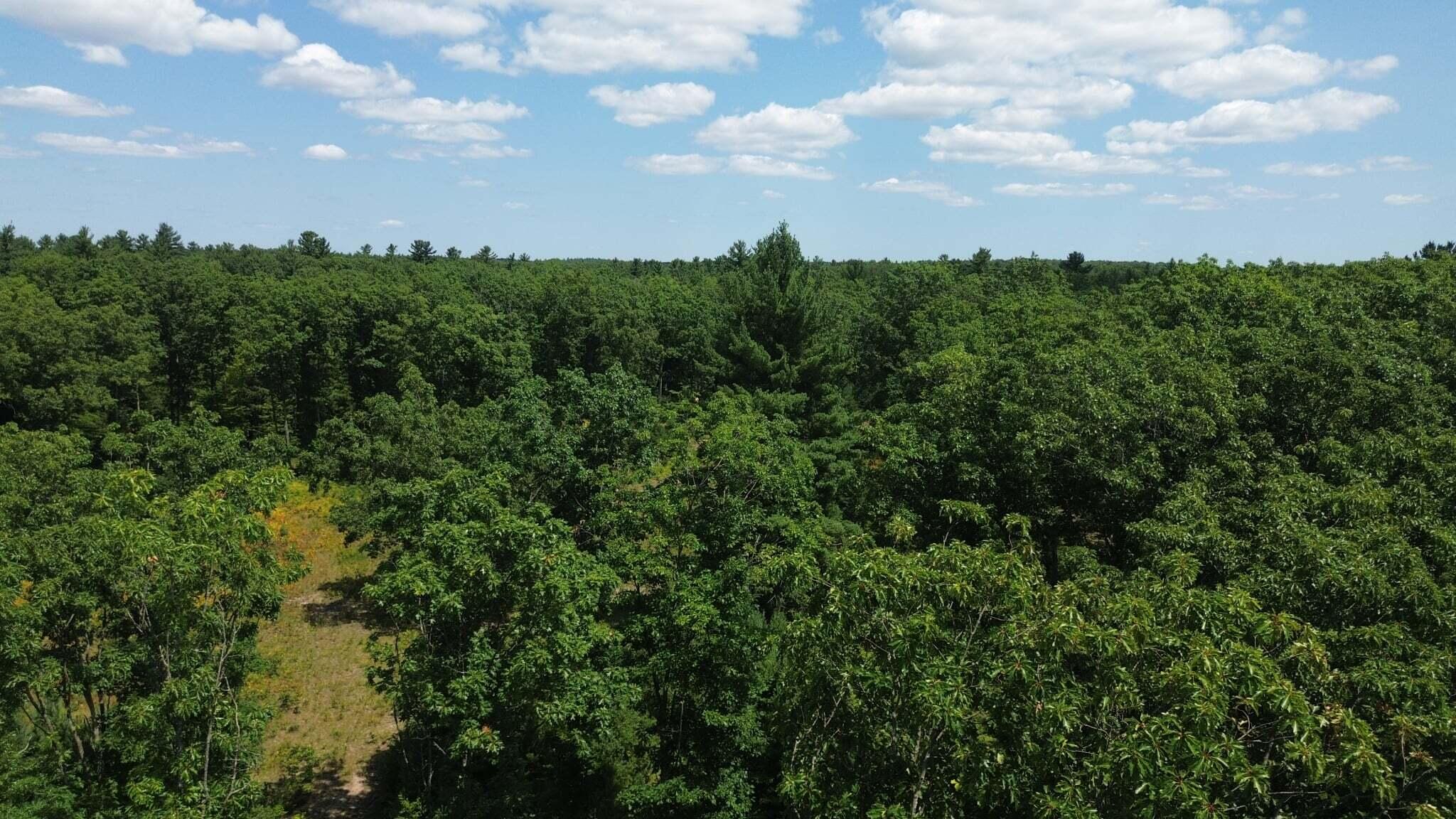 5 5 Mile Road Morley, MI 49336 - Photo 166 of 169 GBNP1318