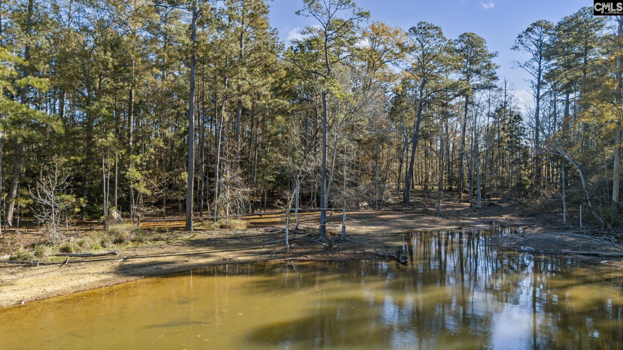 0 Navigator Trail Prosperity, SC 29127 - Photo 10 of 29