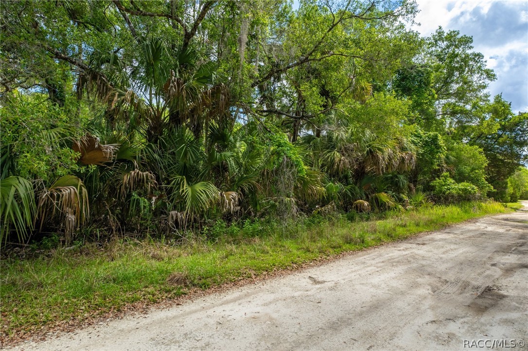 15085 West Rooster Crows Road Inglis, FL 34449 - Photo 15 of 16