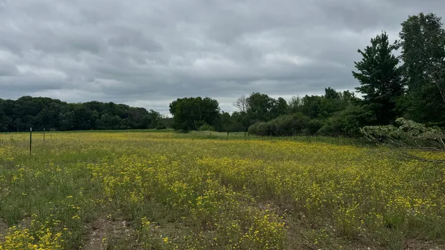 $110,000 | Xxxx Elmcrest Avenue, Stacy, MN 55079