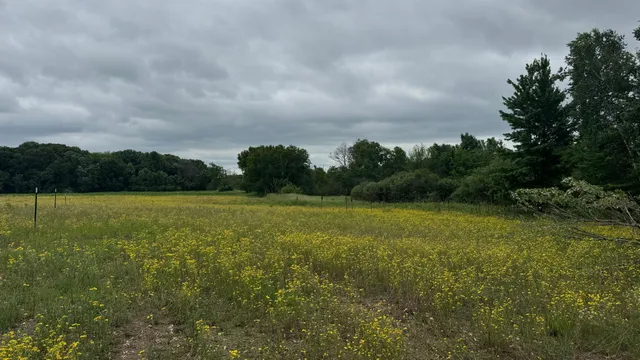 $110,000 | Xxxx Elmcrest Avenue, Stacy, MN 55079