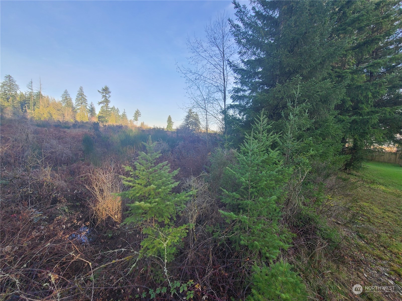12904 Mima Road Southwest Olympia, WA 98512 - Photo 2 of 7 a view of a yard