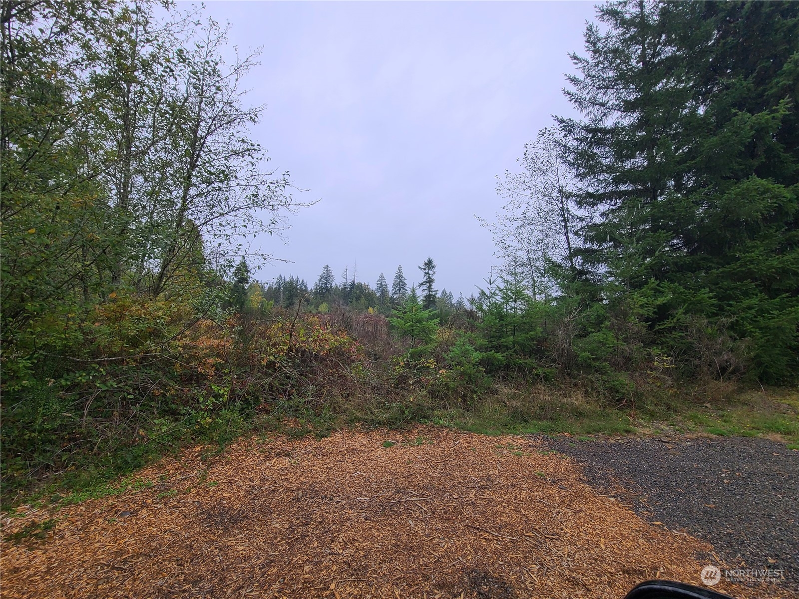 12904 Mima Road Southwest Olympia, WA 98512 - Photo 4 of 7 a view of a dirt road with large trees