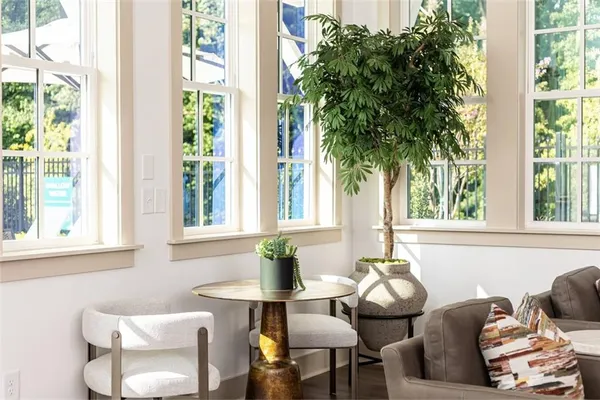 a dining room with furniture and a potted plant