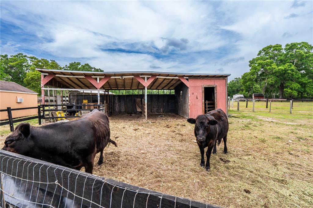 10631 Highway 40 Ocala, FL 34482 - Photo 11 of 43