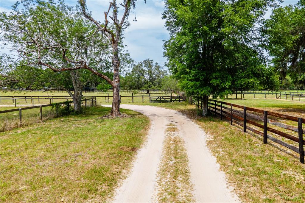 10631 Highway 40 Ocala, FL 34482 - Photo 9 of 43