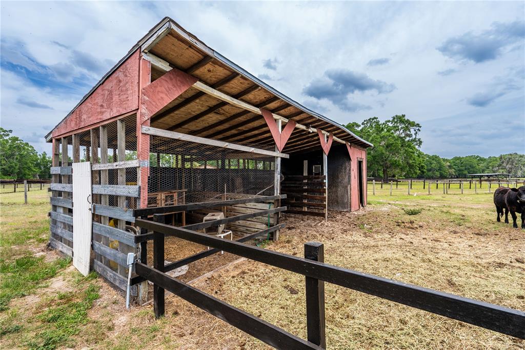 10631 Highway 40 Ocala, FL 34482 - Photo 10 of 43