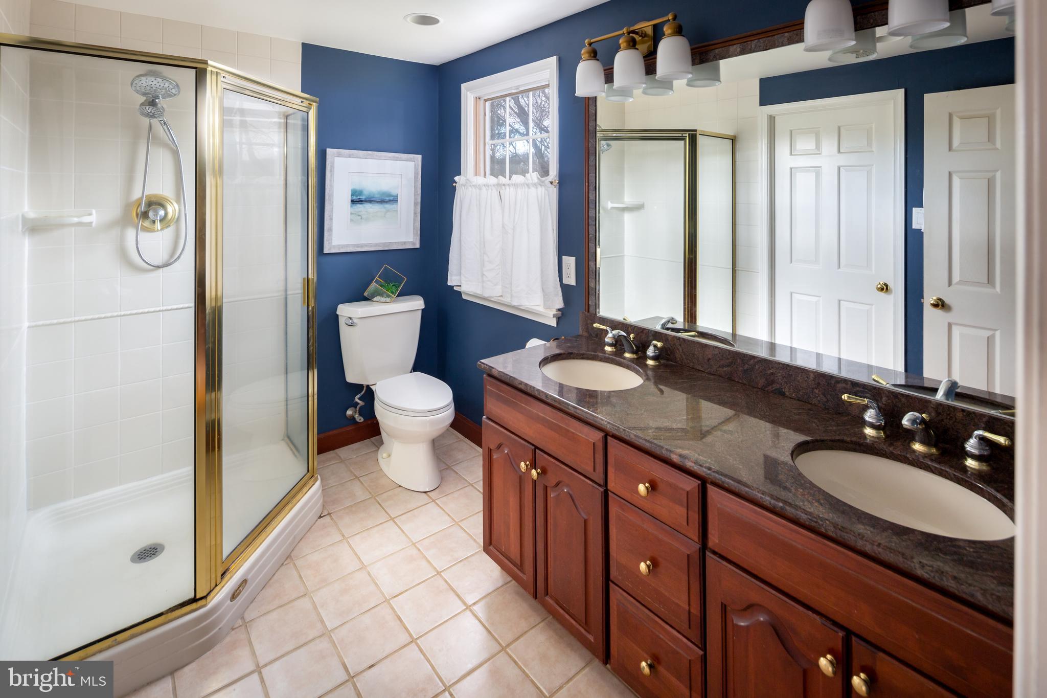 664 Malin Road Newtown Square, PA 19073 - Photo 19 of 42 Main Bathroom.