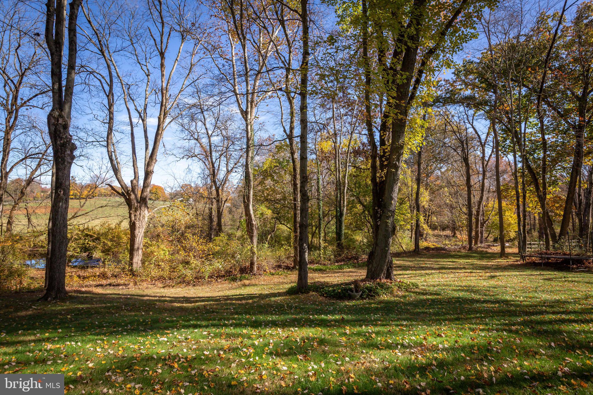 664 Malin Road Newtown Square, PA 19073 - Photo 40 of 42 Rear Yard.