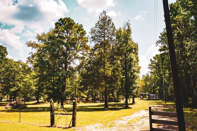 $199,900 | 3540 Farm To Market Road 352, Corrigan, TX 75939