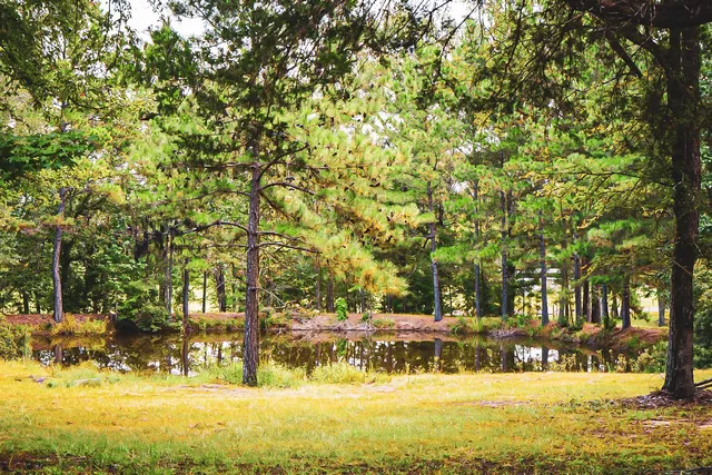 $199,900 | 3540 Farm To Market Road 352, Corrigan, TX 75939