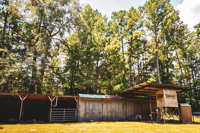 $199,900 | 3540 Farm To Market Road 352, Corrigan, TX 75939