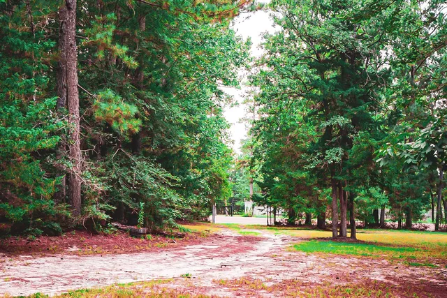 $199,900 | 3540 Farm To Market Road 352, Corrigan, TX 75939