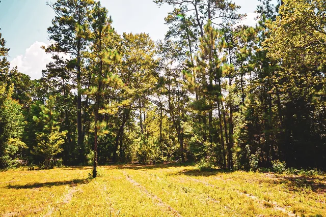 $199,900 | 3540 Farm To Market Road 352, Corrigan, TX 75939