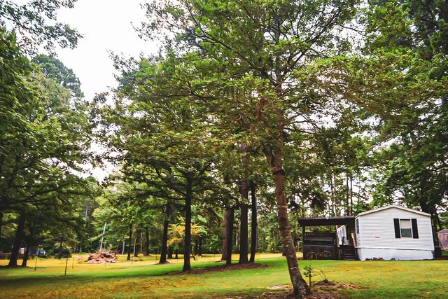 $199,900 | 3540 Farm To Market Road 352, Corrigan, TX 75939