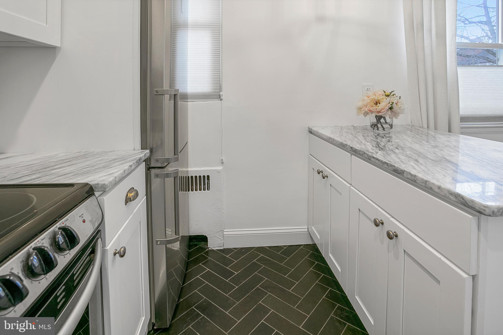 4029 Benton Street Northwest, Unit 101 Washington, DC 20007 - Photo 8 of 28 Lovely White Quartzite Counters