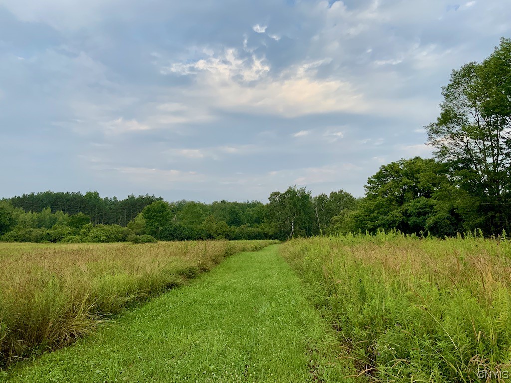 0 Spring Brook Road Pulaski, NY 13142 - Photo 11 of 13