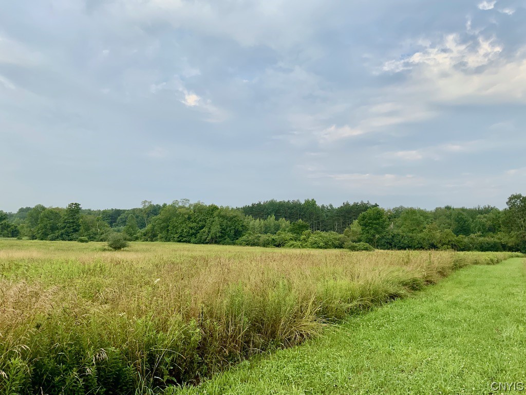 0 Spring Brook Road Pulaski, NY 13142 - Photo 12 of 13