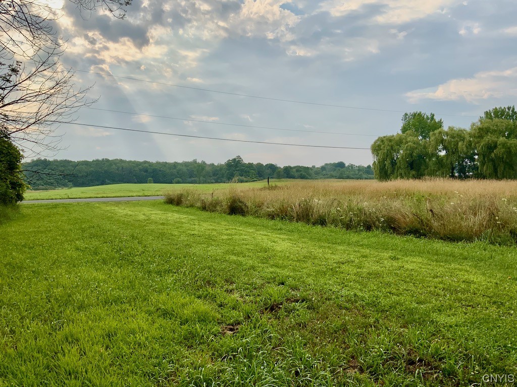0 Spring Brook Road Pulaski, NY 13142 - Photo 13 of 13