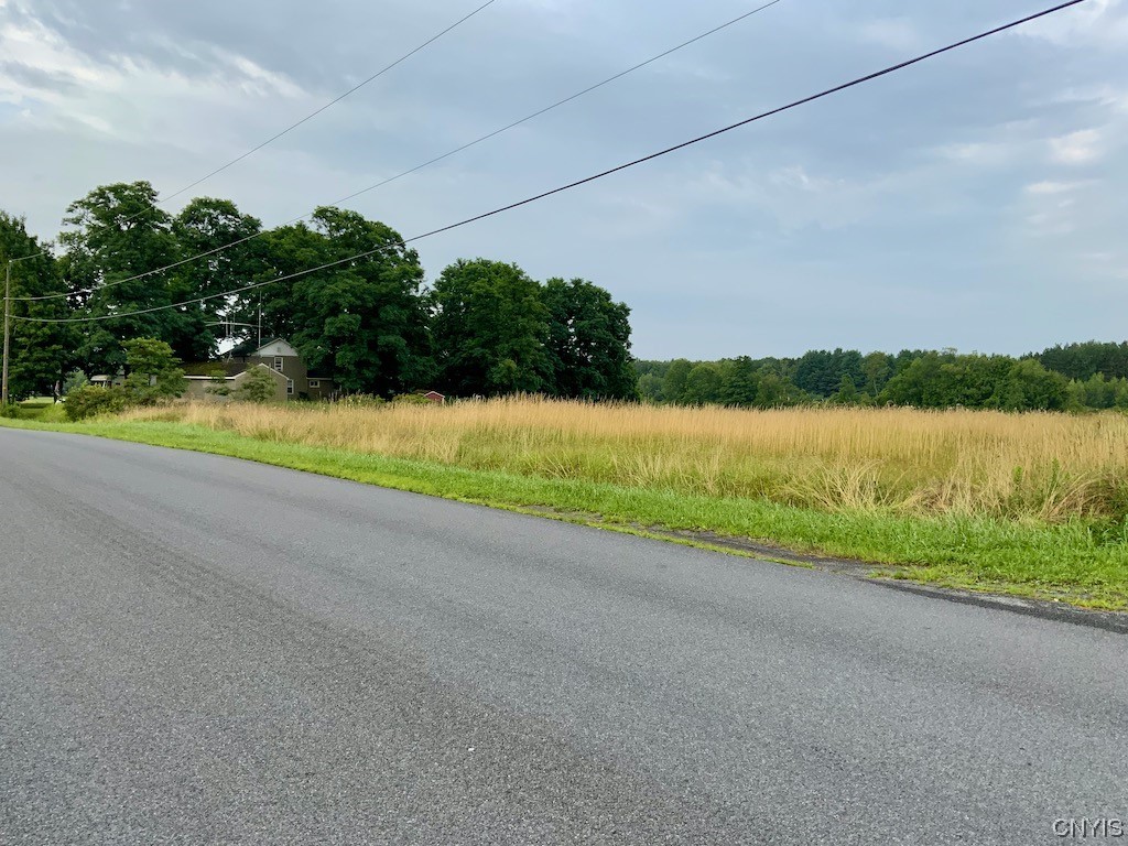 0 Spring Brook Road Pulaski, NY 13142 - Photo 2 of 13