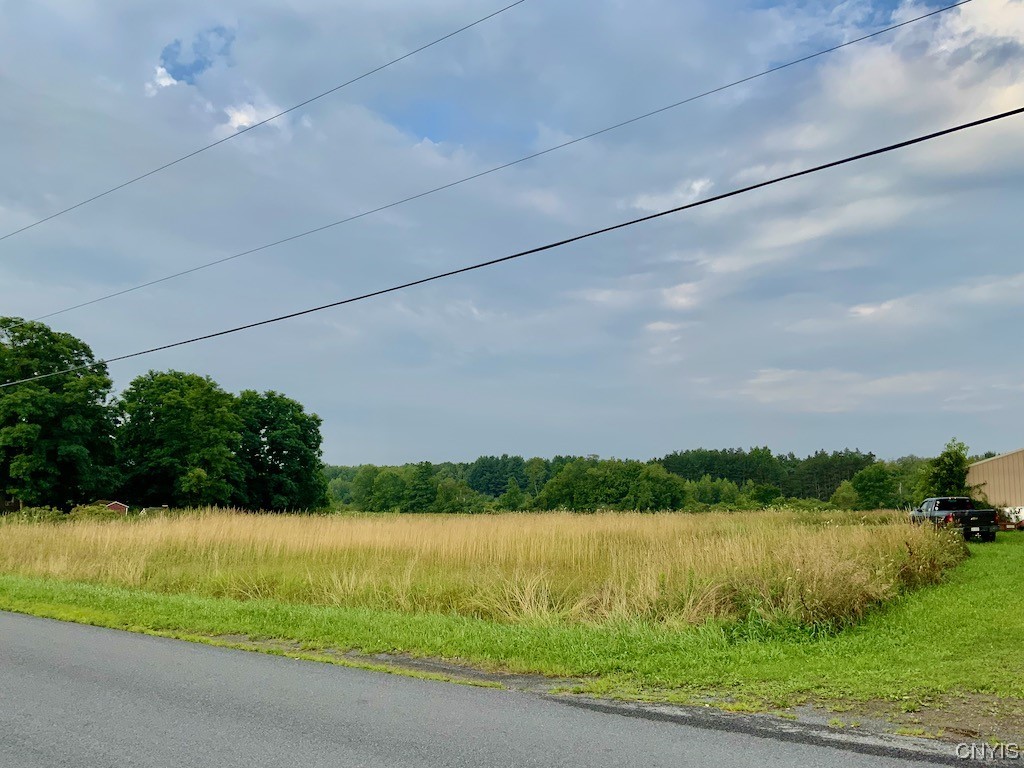 0 Spring Brook Road Pulaski, NY 13142 - Photo 3 of 13