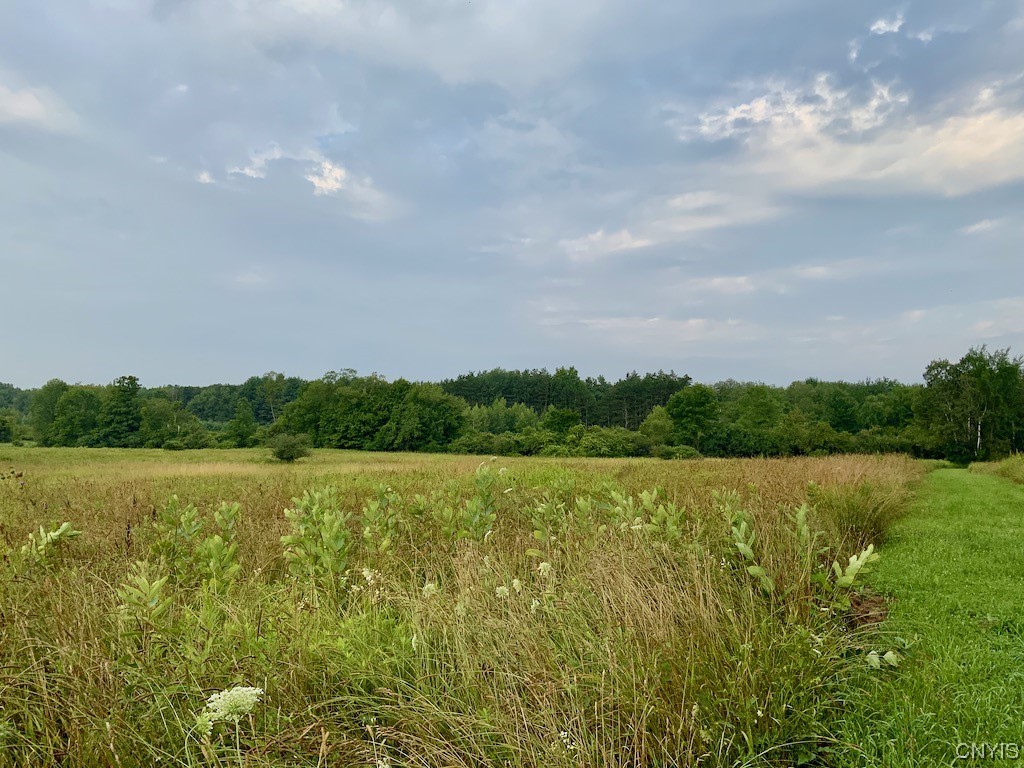 0 Spring Brook Road Pulaski, NY 13142 - Photo 9 of 13