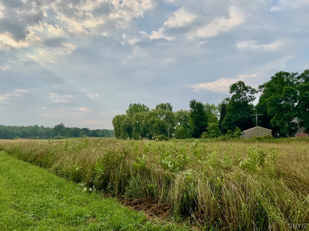 0 Spring Brook Road Pulaski, NY 13142 - Photo 10 of 13