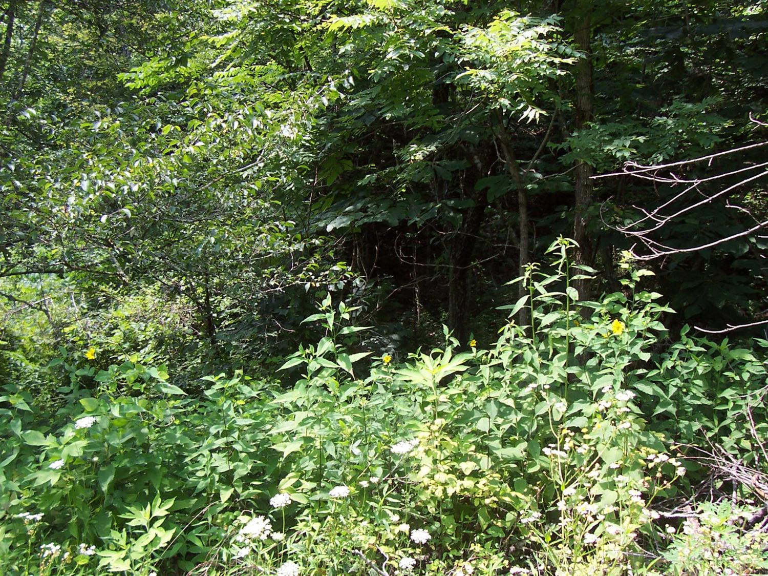 1 Fox Hollow Road Beattyville, KY 41311 - Photo 15 of 20 Photo 15